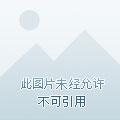 仙路独尊