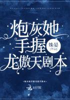 宠物小精灵之黑色幻想 疯狂沉默