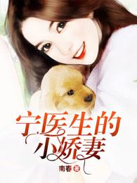 宁医生的小娇妻