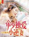 人未老情未了的下一句是啥