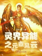 沈小姐历总