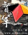亮剑之给孔捷当警卫TXT