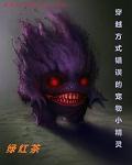 综武大明