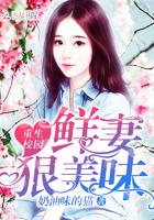 入赘王婿叶凡全文免费阅读