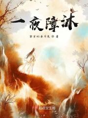 一夜障沐